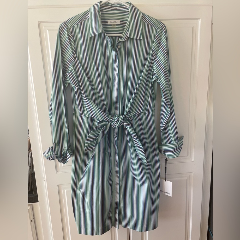 Calvin Klein Pin-Striped Tie Waist Long Sleeved Dress, Size 6